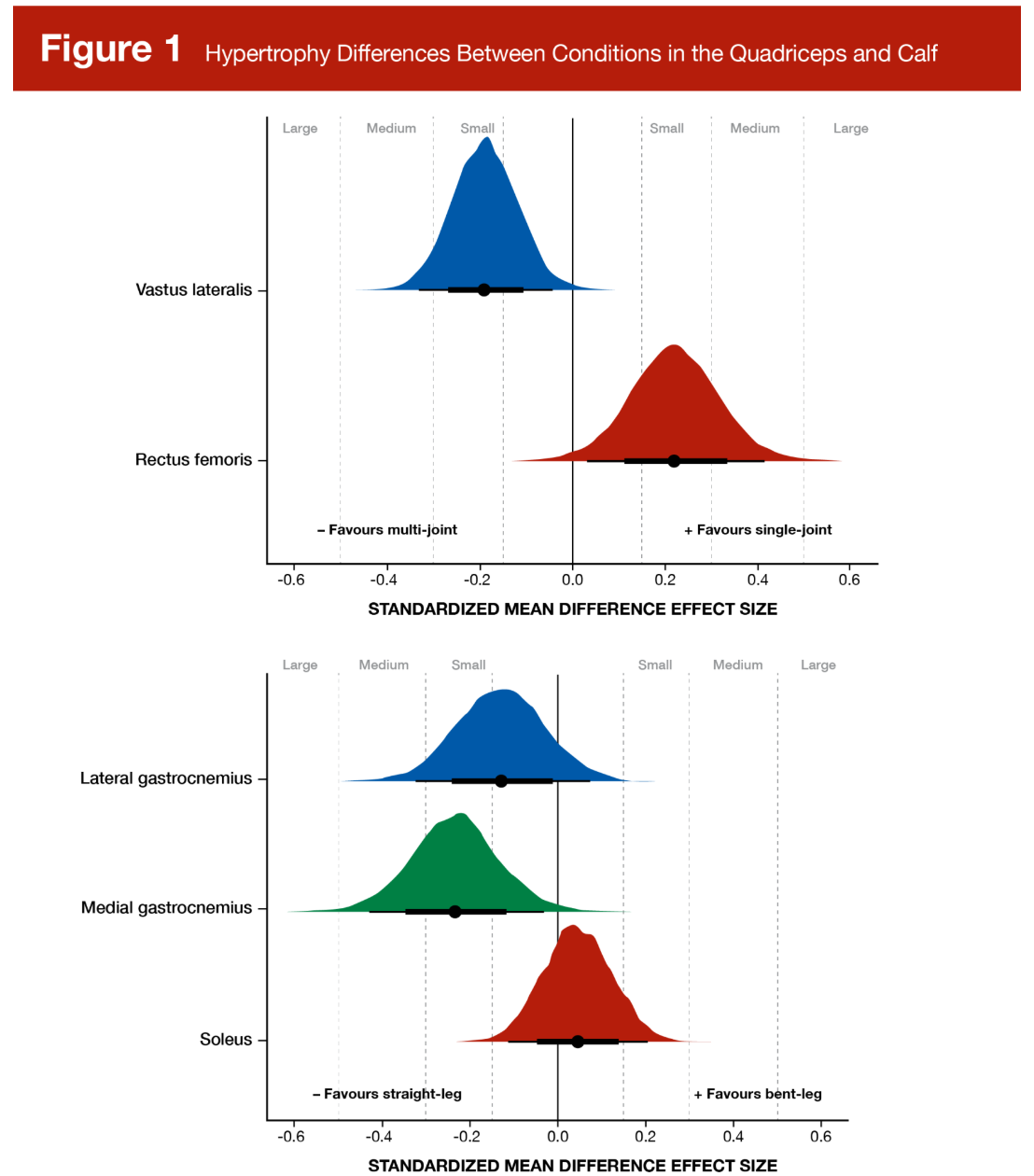 diferencias-en-la-hipertrofia-entre-condiciones diferencias en la activación muscular entre cuádriceps y gemelos