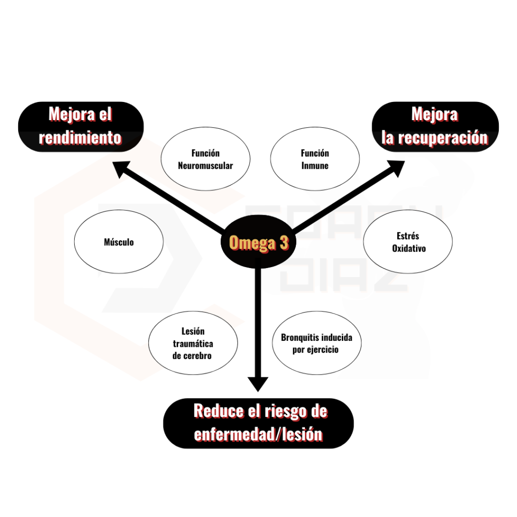 funciones del omega 3 Funciones del Omega 3