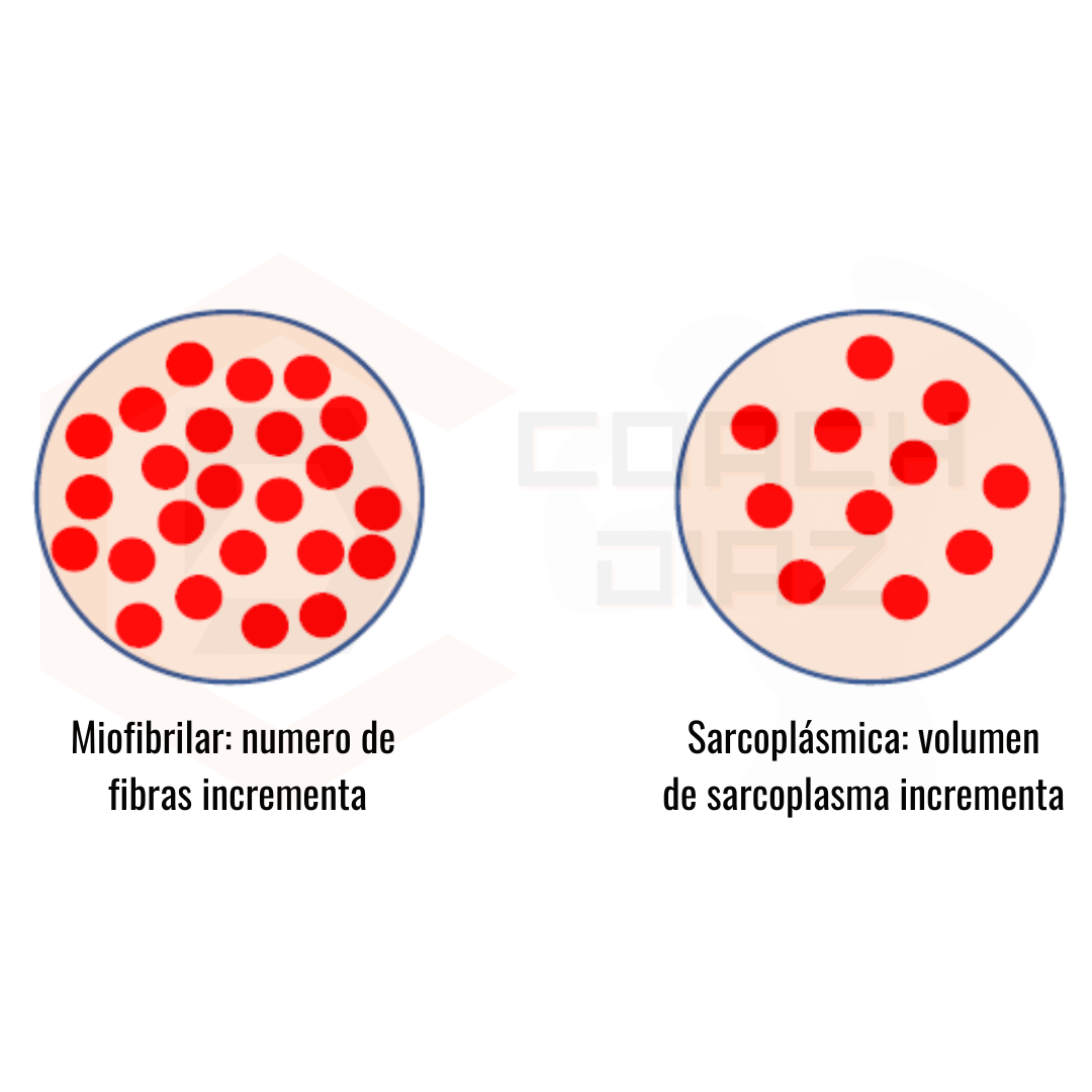 Post de instagram fitness creatina minimalista innovador rojo negro blanco (7)